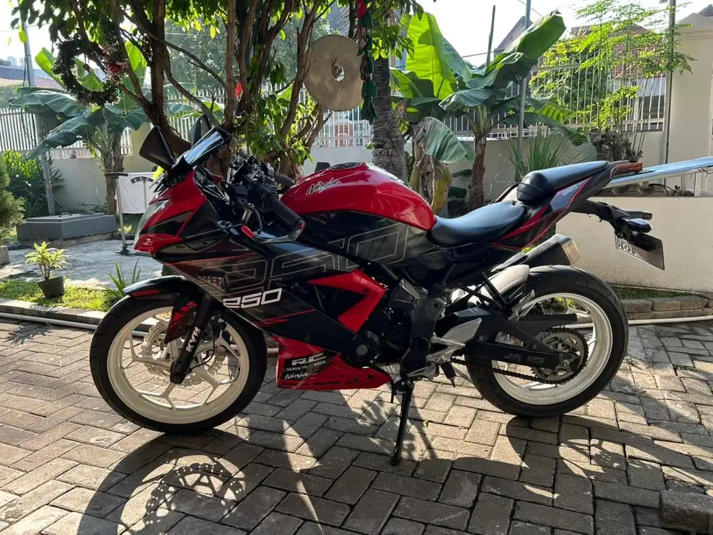Kawasaki Ninja Mono SL 250CC