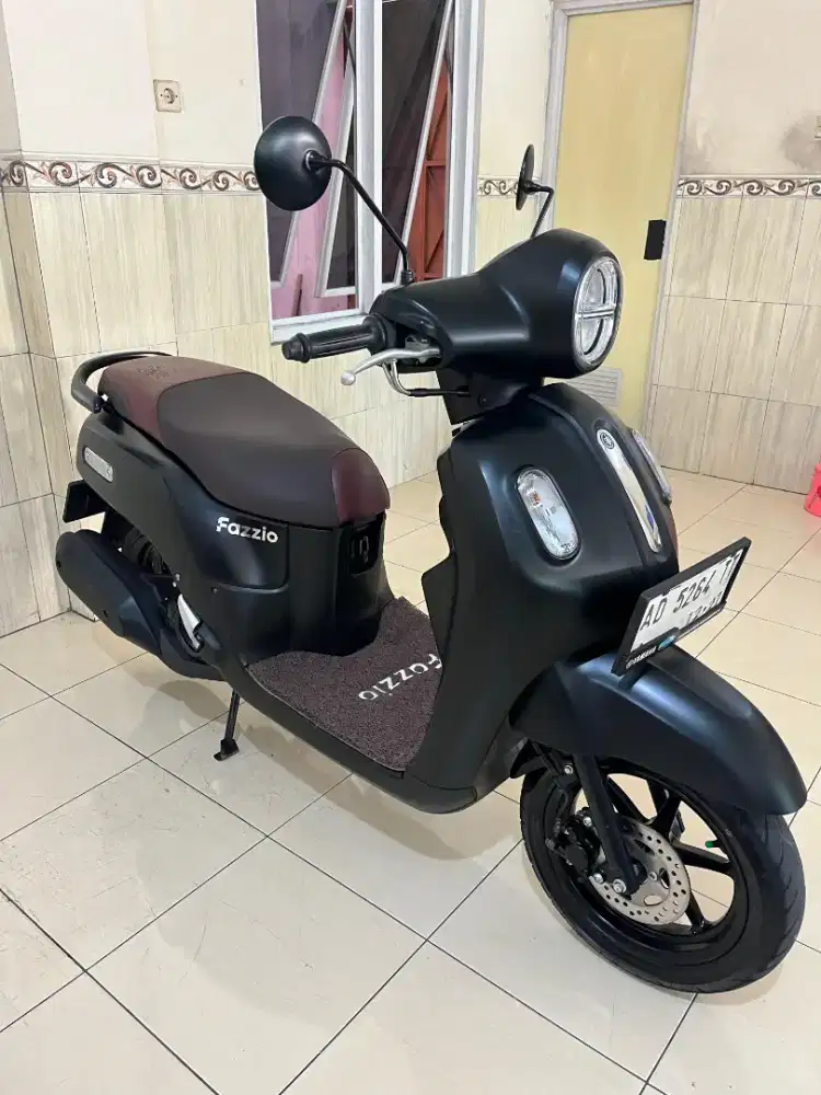 Fazio 2022 bagus