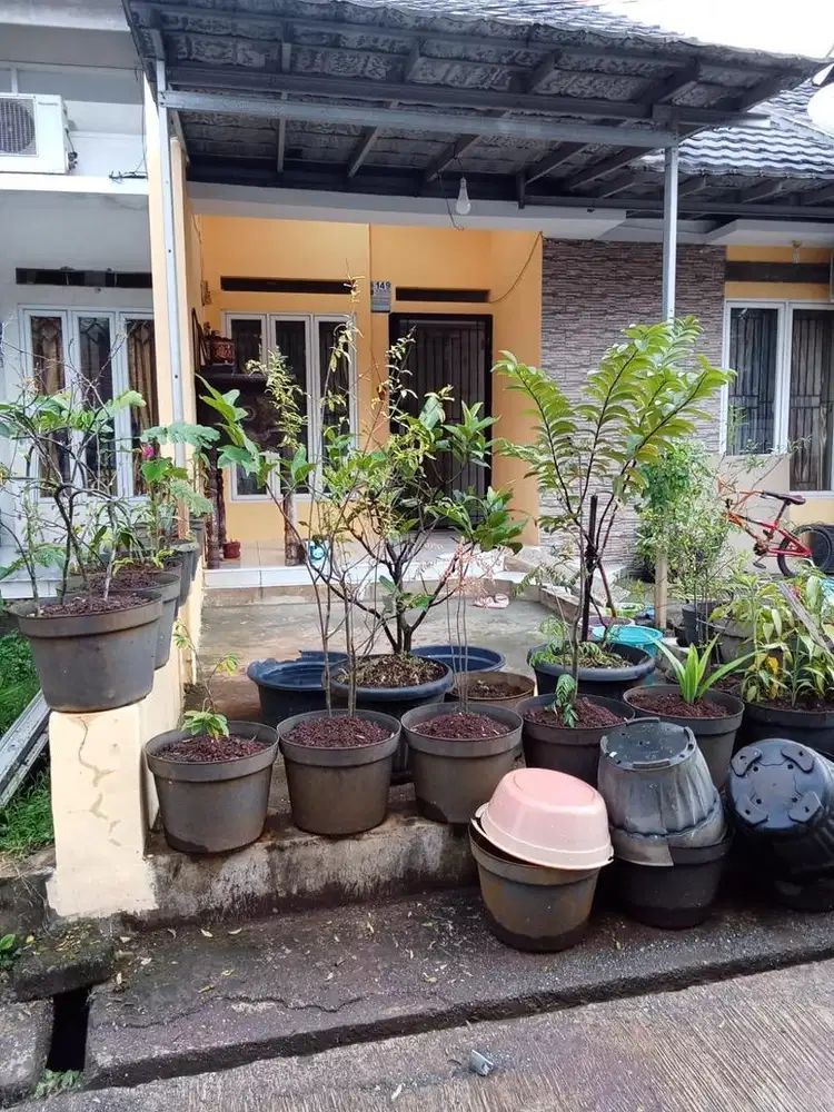 Dijual Cepat Rumah 2KT SHM Siap Huni Dekat Stasiun Depok, Harga Nego