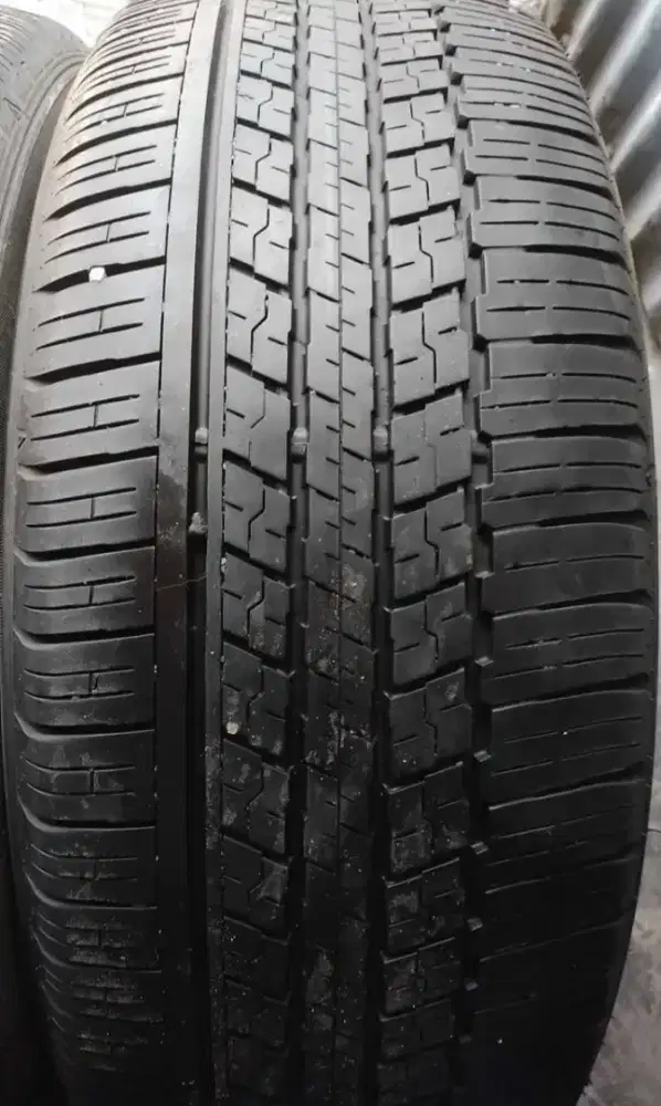 Ban dunlop grandtrek 225/55/R19 2pcs