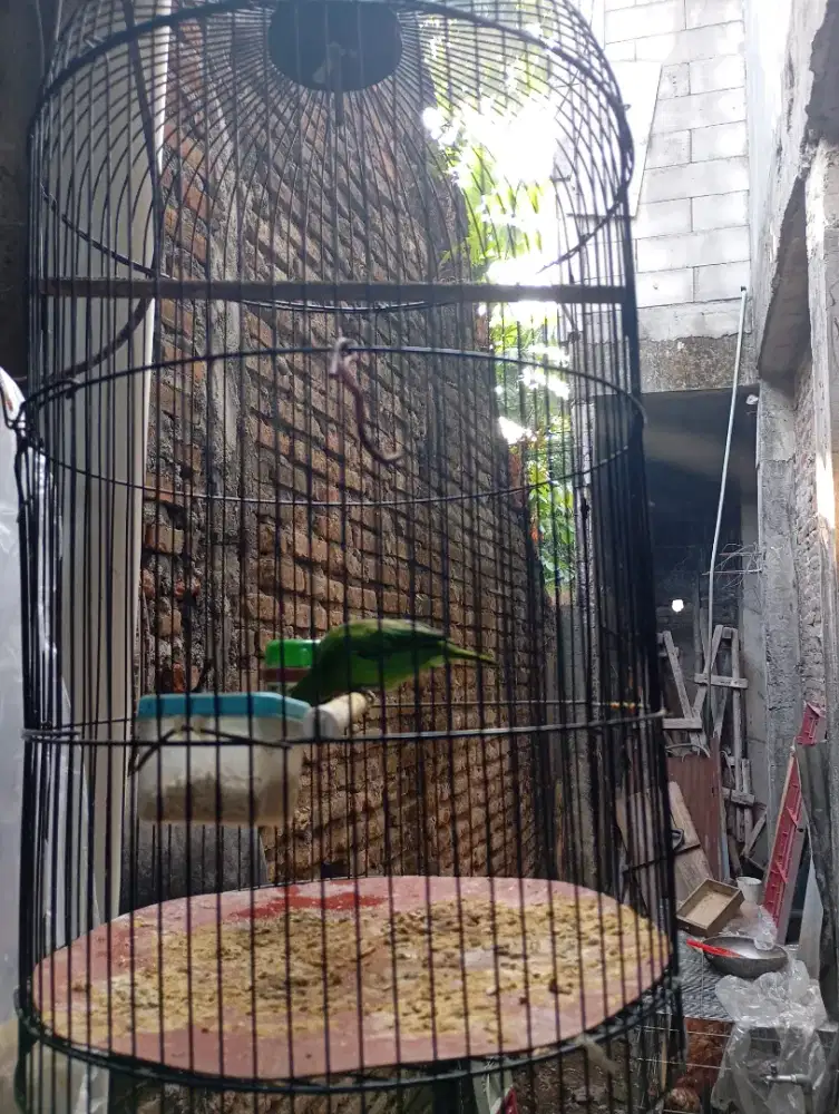 Sangkar+ burung gacor
