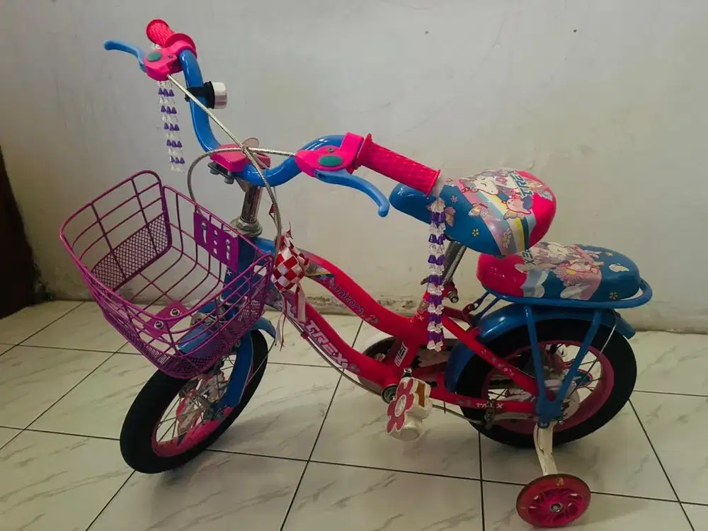 Sepeda Anak Trex