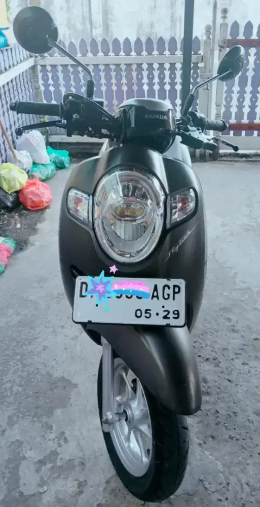 Scoopy stylist  2019