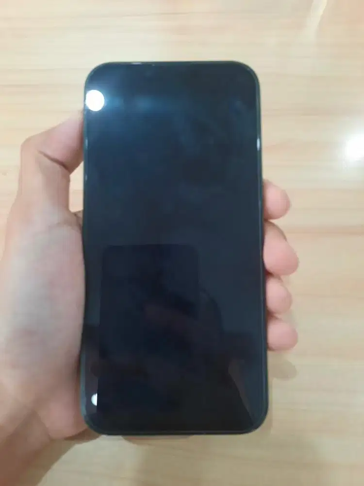 Iphone 13 ibox 128gb green