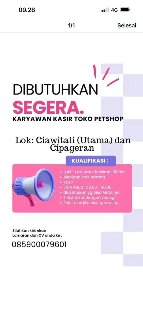 DICARI PENJAGA TOKO PETSHOP