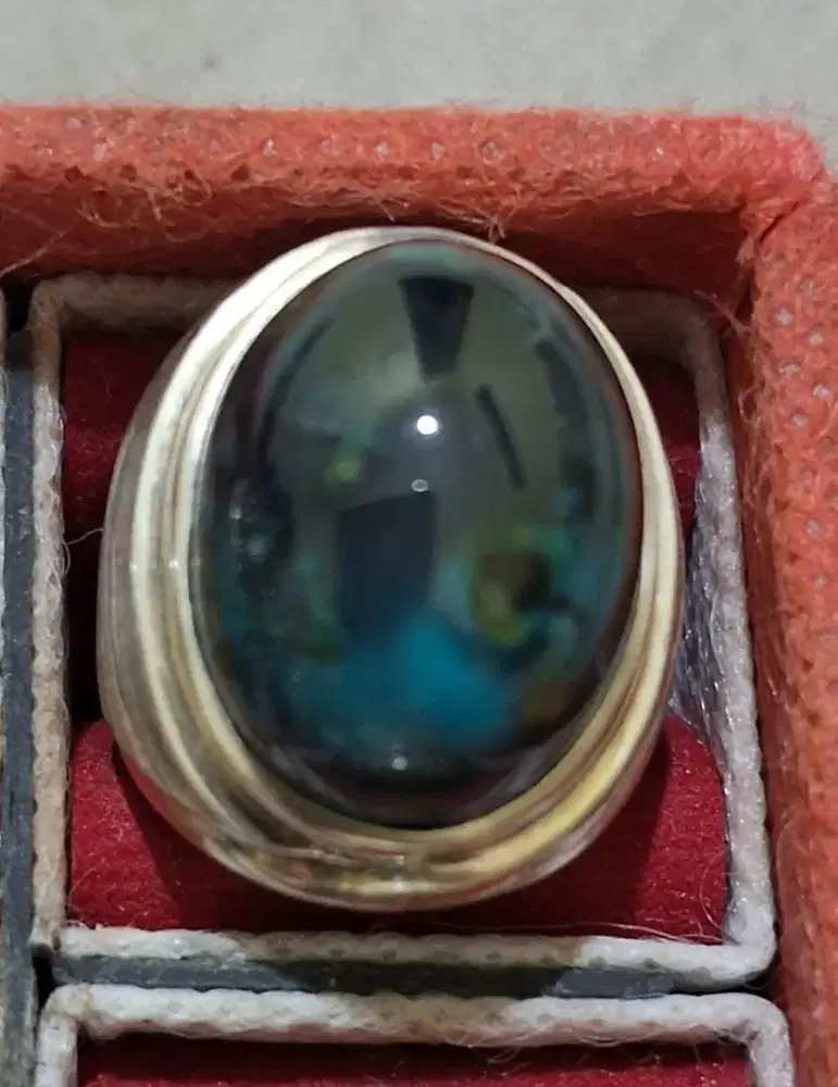 BACAN DUA WARNA LAWAS.