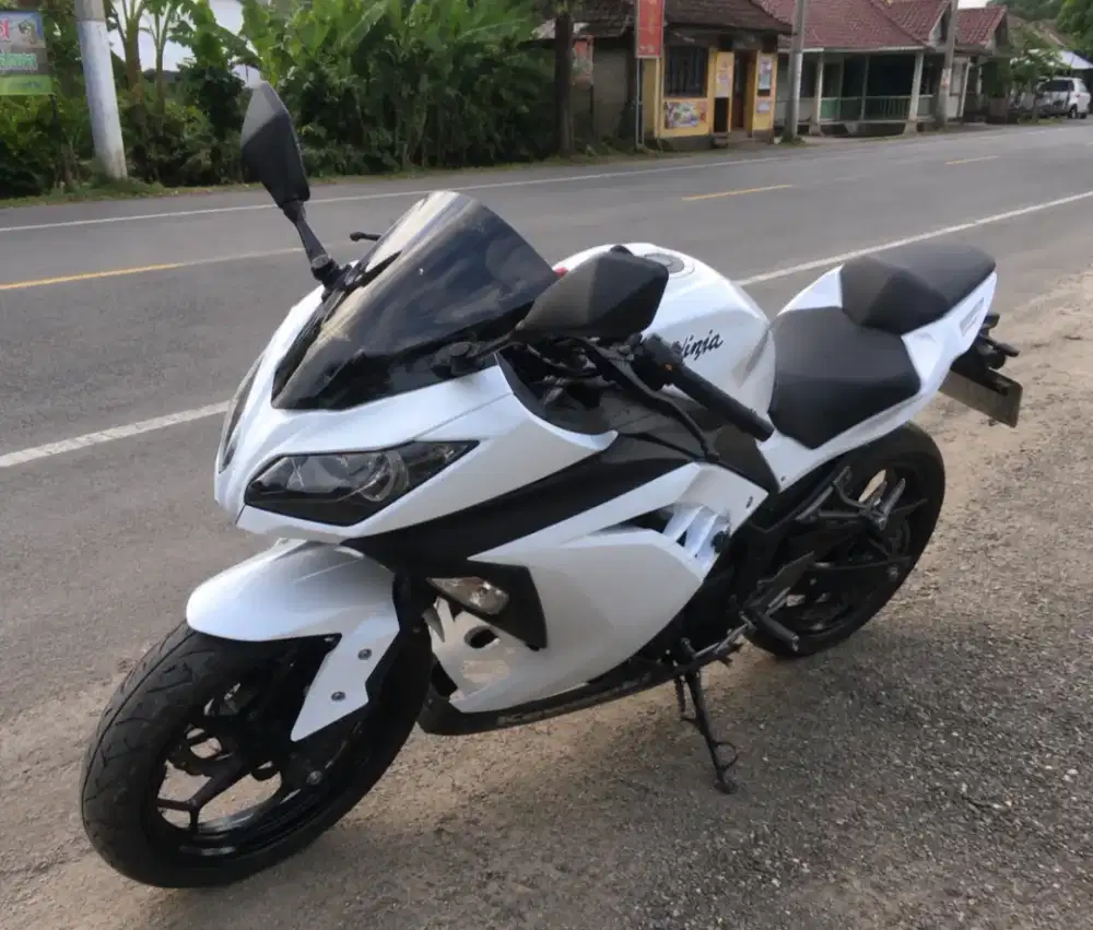 Ninja 250 f1 2 cylinder mulus 2013