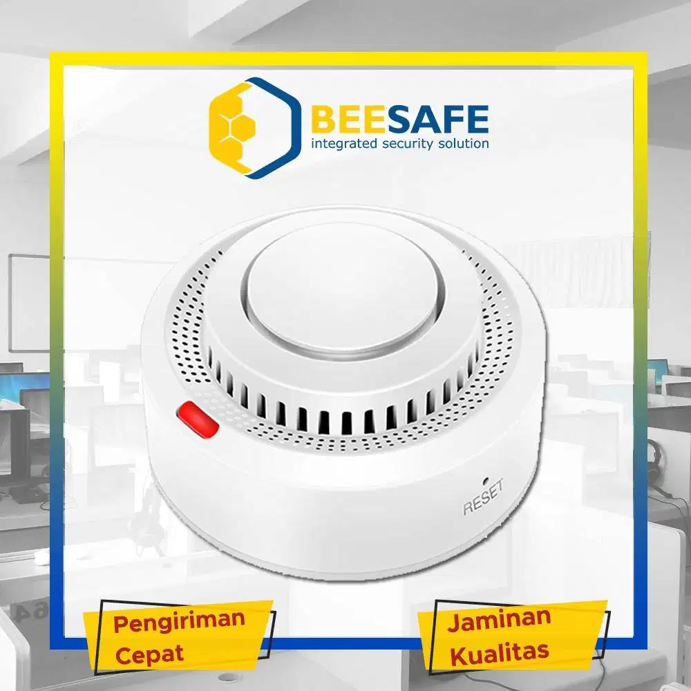 Smart Detector BEESAFE SD-TY-01
