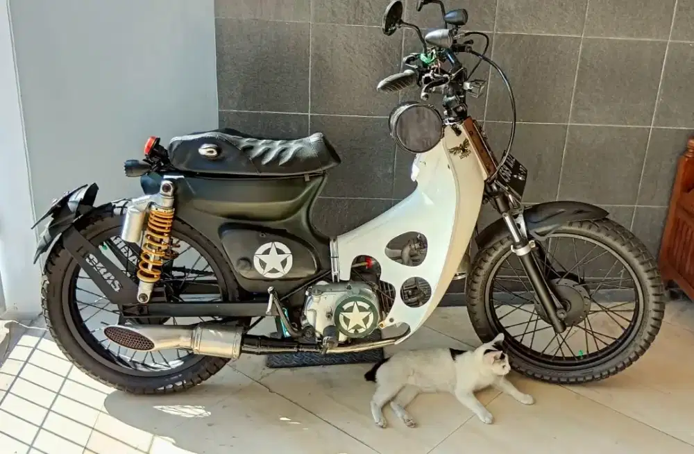 Motor custom C-100