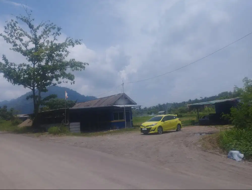 Akan Di lelang dari 22 Juni sampai 21 Juli. Tanah di jalan raya 2000m2