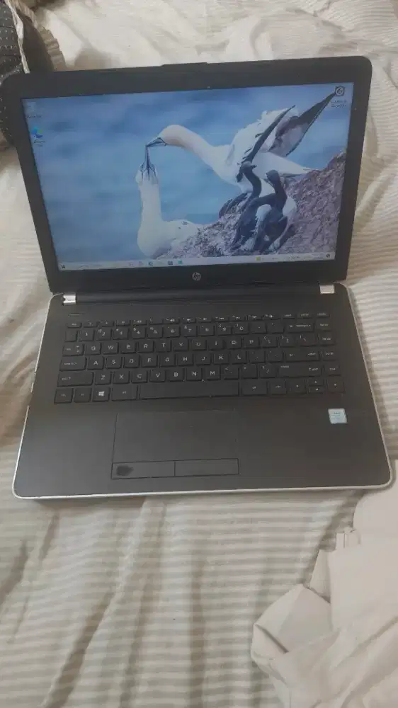 Laptop hp i3 ram 8gb murah
