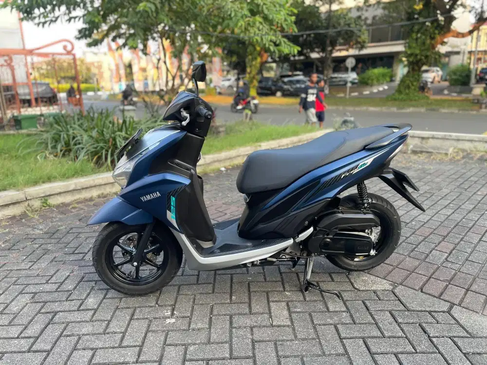 Freego 2024 Pajak Panjang