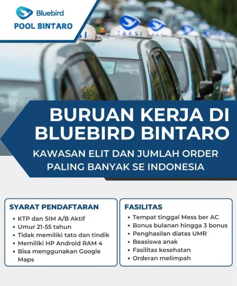 lowongan Driver Bluebird daerah Pool Bintaro