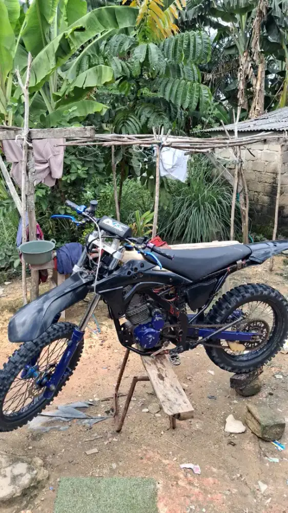 motor tiger 2023
