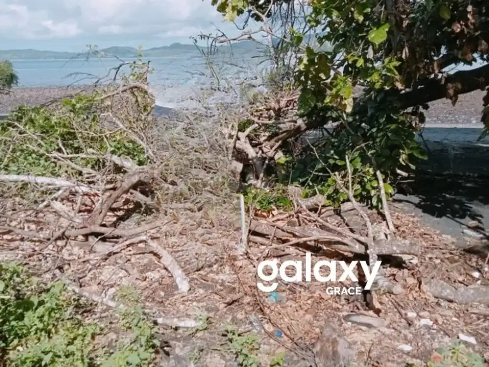 DIJUAL TANAH DI GOLOMORI LABUAN BAJO NUSA TENGGARA TIMUR