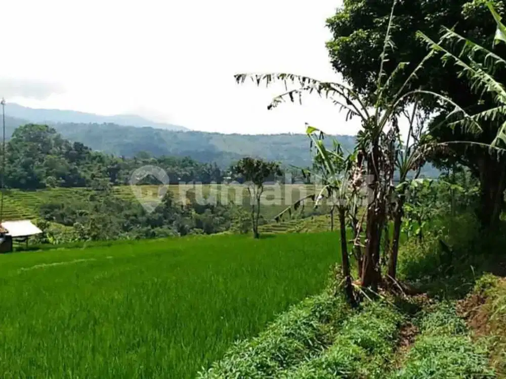 Jarang Ada Tanah Murah di Jalan Provinsi Nagreg Kab Bandung
