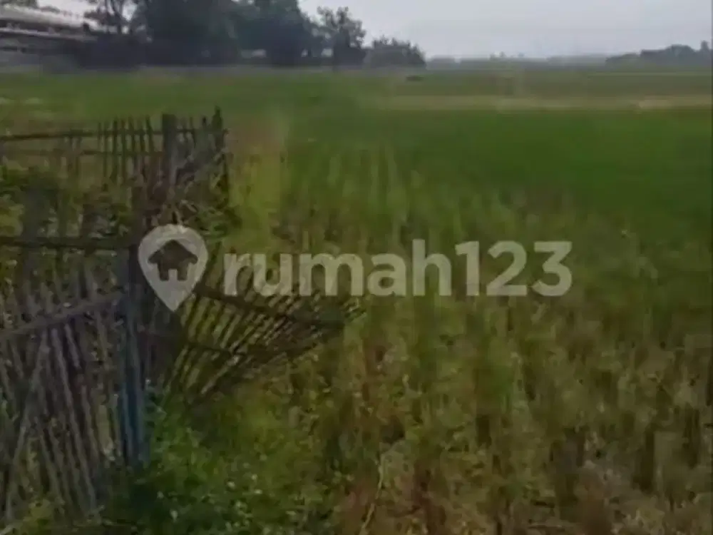 Dijual Tanah Di Jalan Provinsi Cicalengka Majalaya