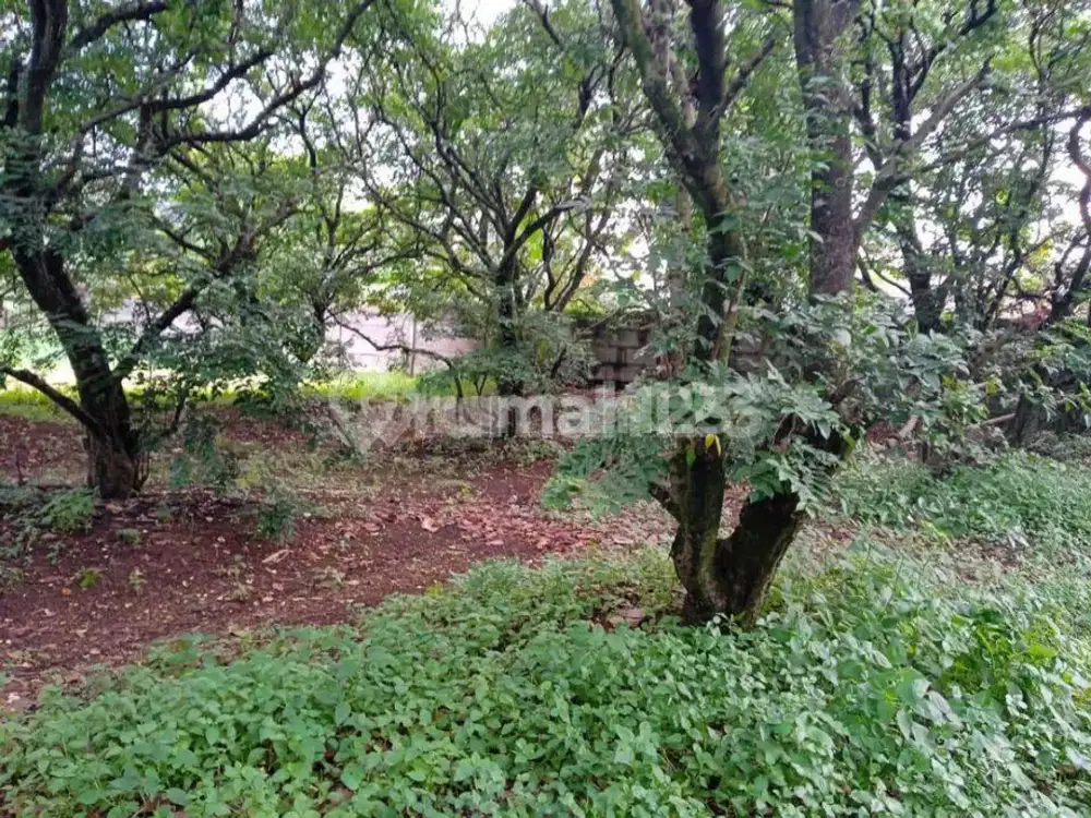 Tanah di Jln. Pramuka, Depok SHM 1.500 m²