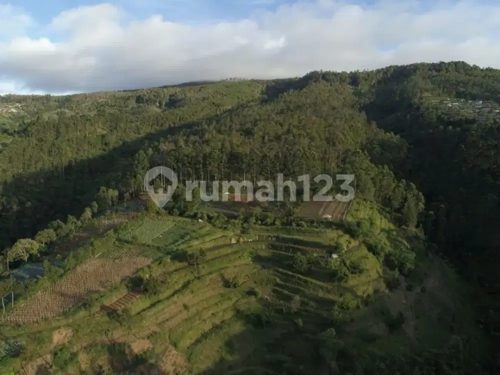 Turun Harga Tanah Lembang Luas 10Hektar Lebih Cocok untuk Resort
