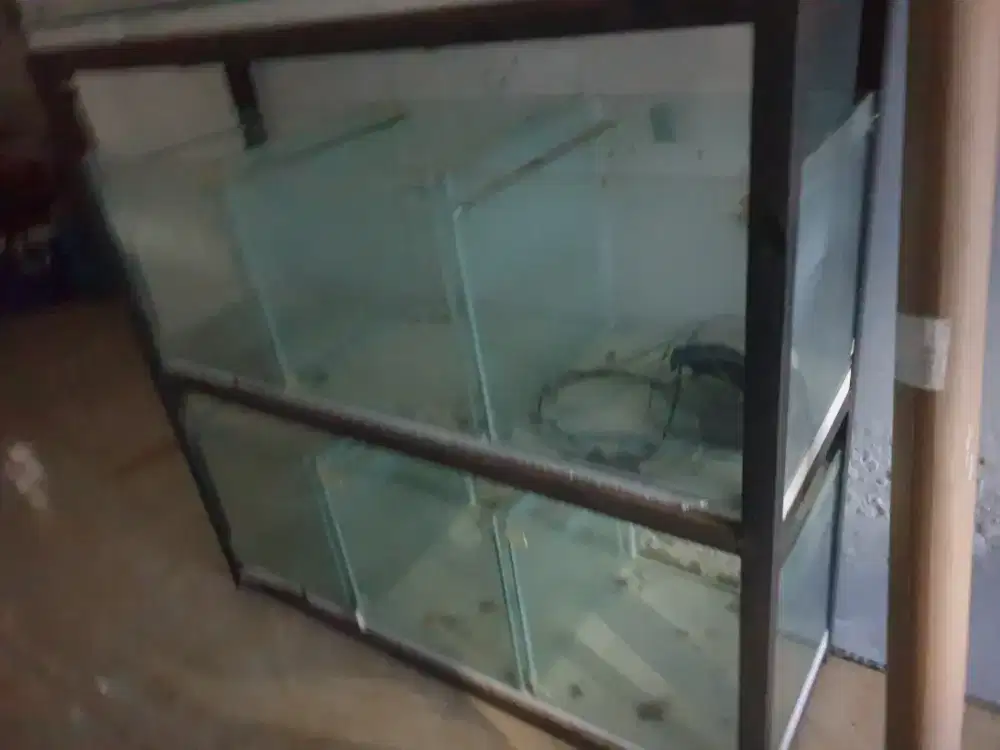 Aquarium tebal no minus