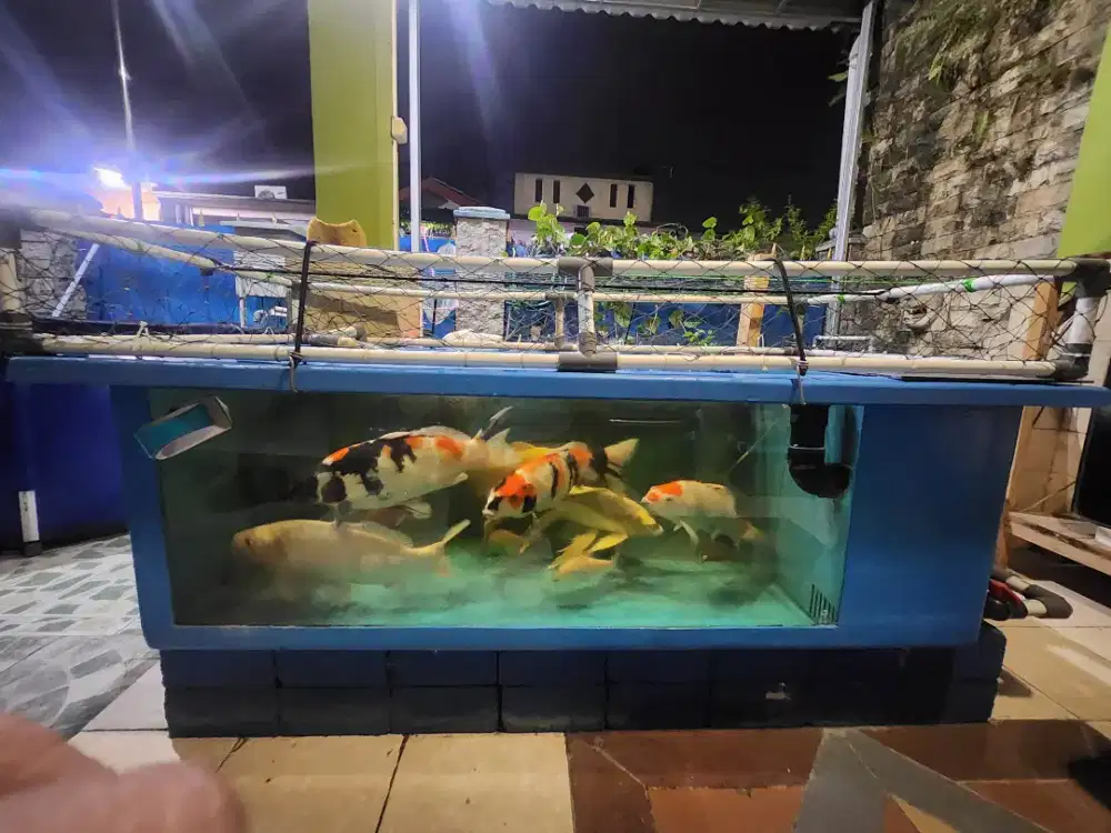 Bak fiber kolam ikan