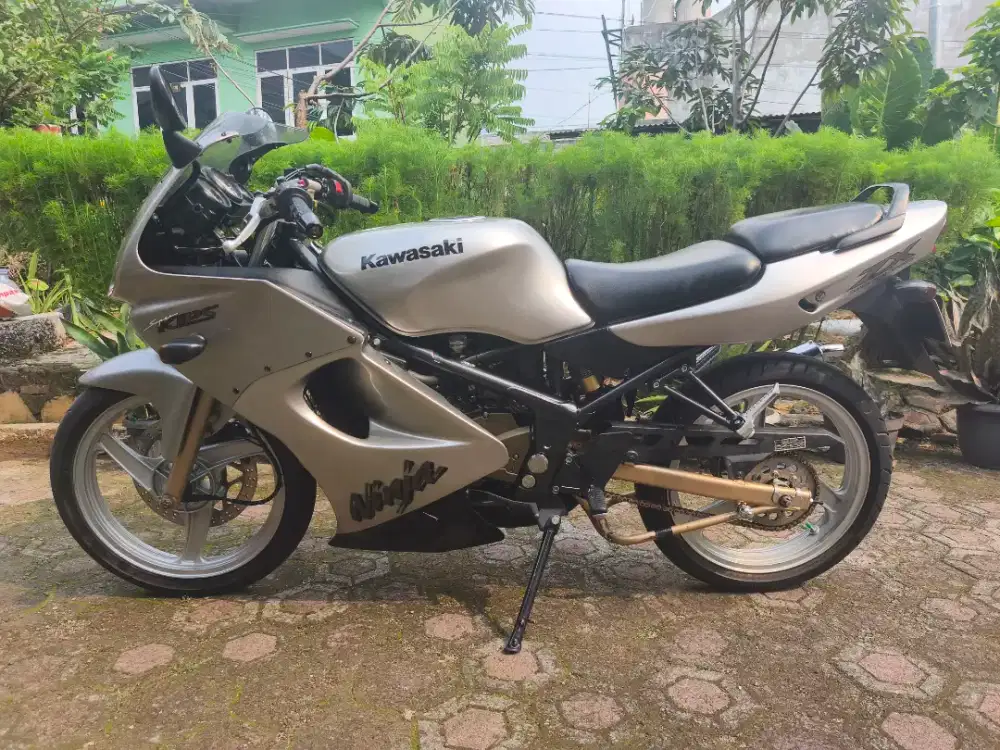 Ninja RR pajak on panjang