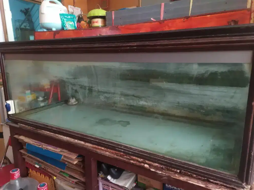 Jual aquarium size jumbo