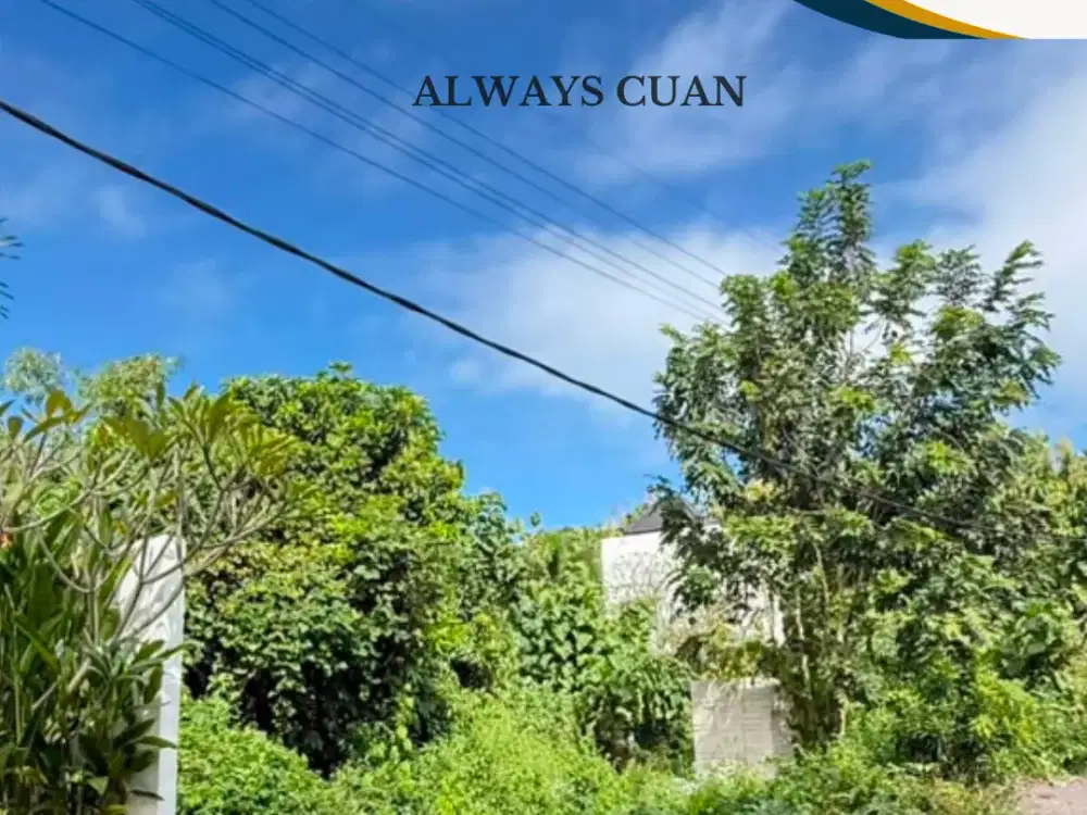 DIJUAL TANAH DI LINGKUNGAN VILLA – UNGASAN, BALI