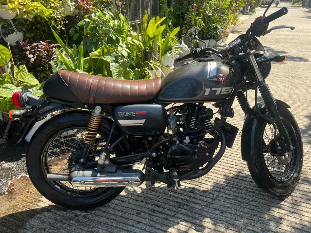 Kawasaki W175 cafe Graystone abu