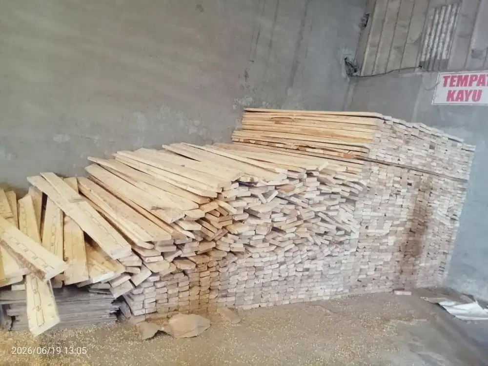 Kayu Pinus ex Container