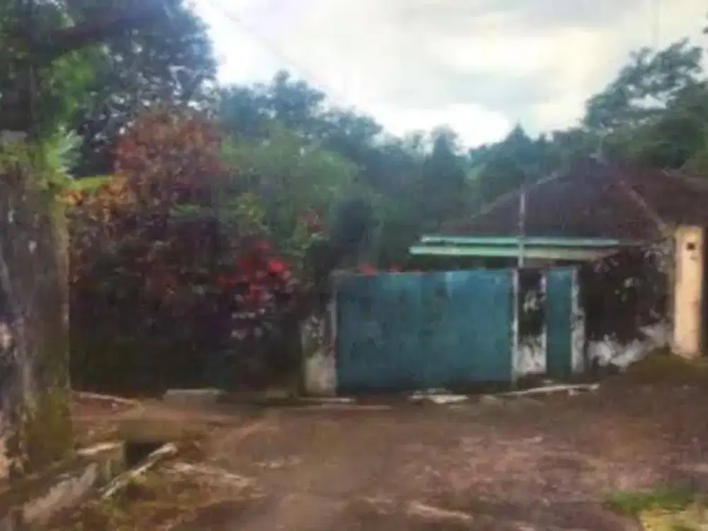 DI JUAL RUMAH DAN TANAH DI JL KENANGAN, DESA GAMBIR, KAB PASURUAN
