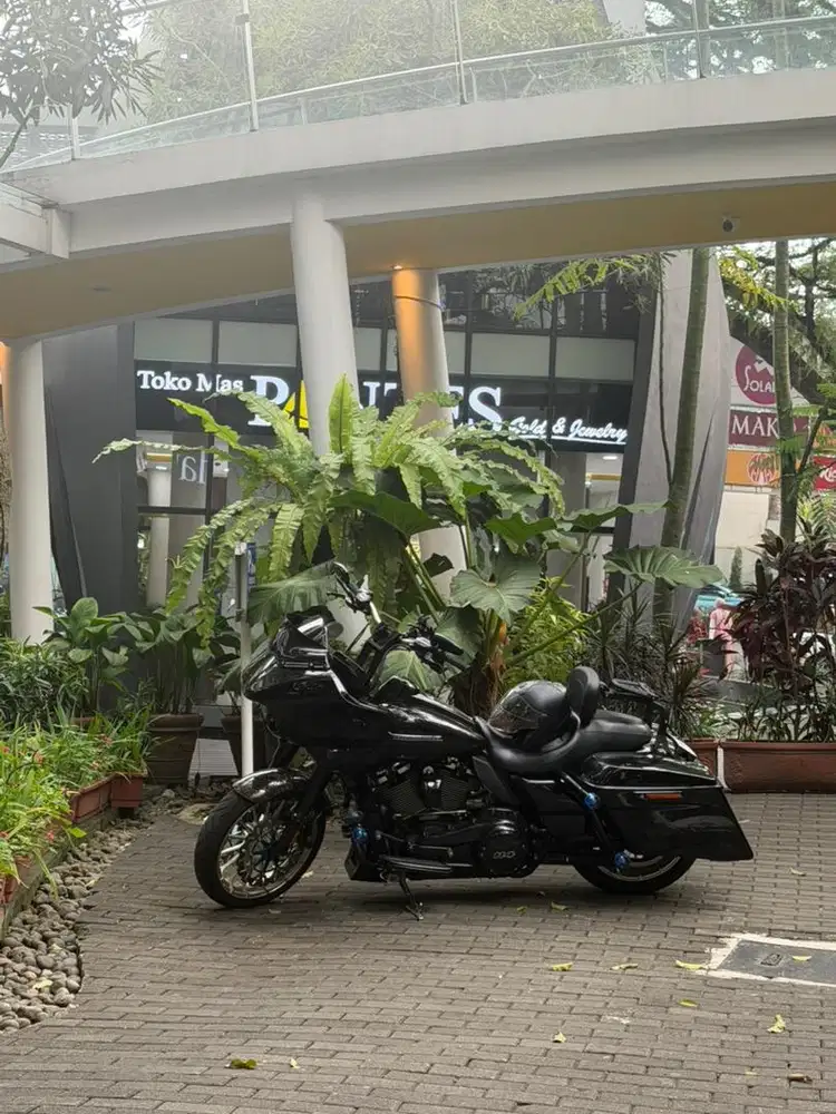 Harley Touting Toad Glide 2019
