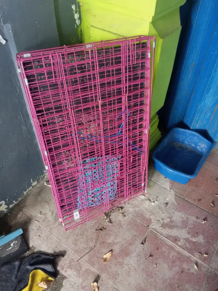 Kandang kucing  atau anjing