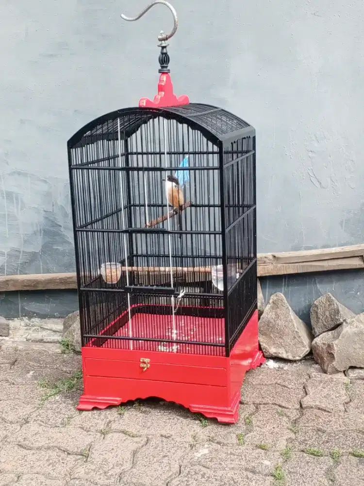 Cendet sembur Jateng