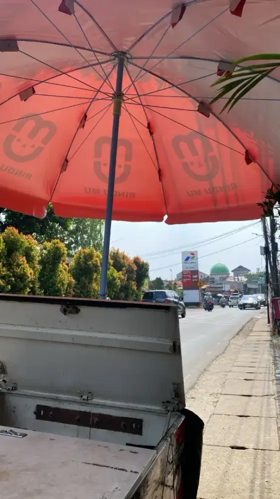 Driver Pribadi/Driver freelance