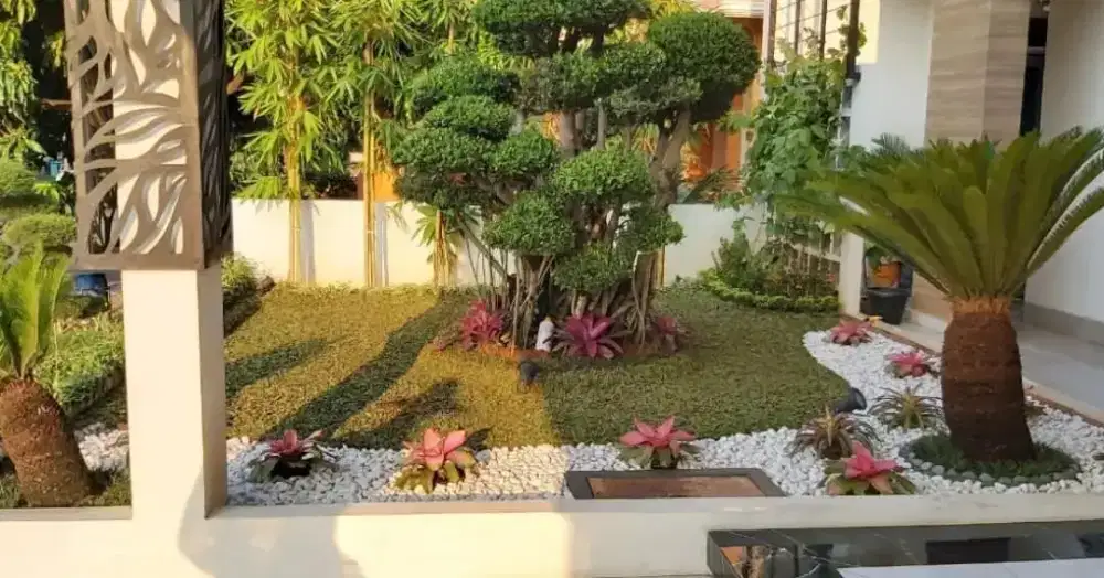Paket pembuatan taman minimalis modern Terima jadi