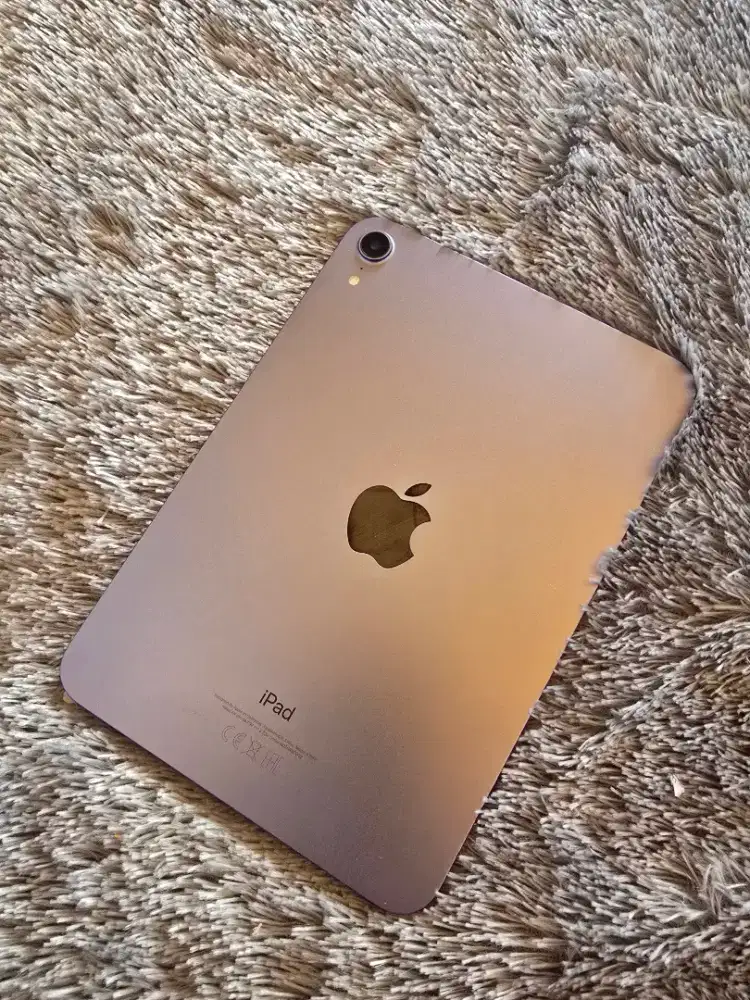 Ipad Mini 6 256Gb grey wifi unit only