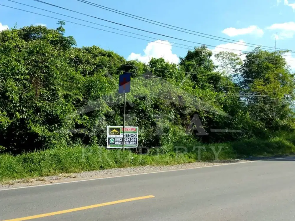 Jalur Wisata! Tanah Kavling Siap Bangun untuk Resto & Resort