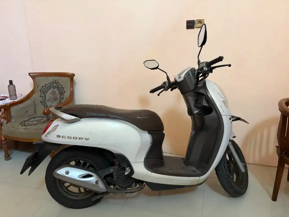 Honda scoopy 2024 prestige white