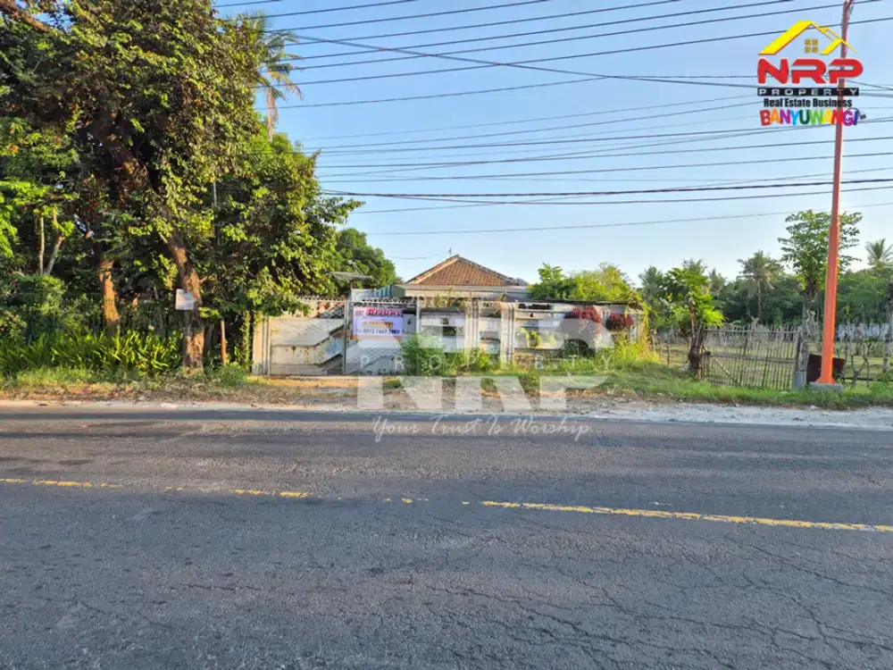 DIJUAL TANAH STRATEGIS BONUS RUMAH, GUDANG & KANTOR DI SUKOWIDI, BANYUWANGI