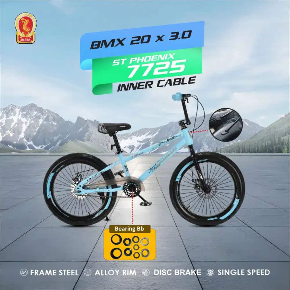 Sepeda Anak Bmx St Phoenix UK20 ban jumbo 3.0 sdah cakram