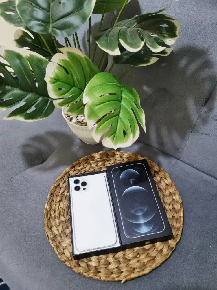 iPhone 12 Pro Max 256GB