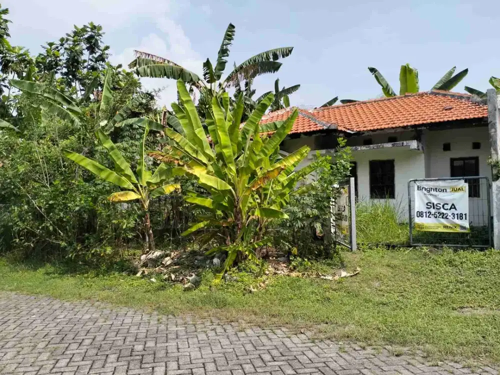 Dijual Rumah Dengan Harga Murah Dan Lokasi Strategis