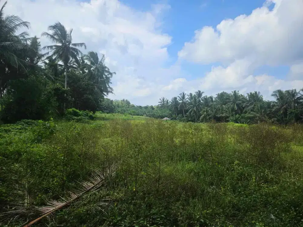 DISEWAKAN LAHAN STRATEGIS JANGKA PANJANG DI MENGWI