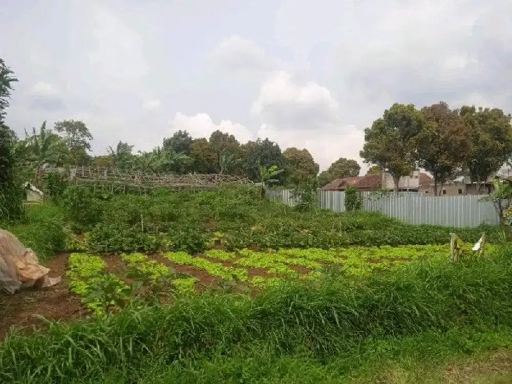Tanah Luas 850 m2 untuk Investasi masa depan di Sayap Sersan Bajuri, Parongpong Ref.05647