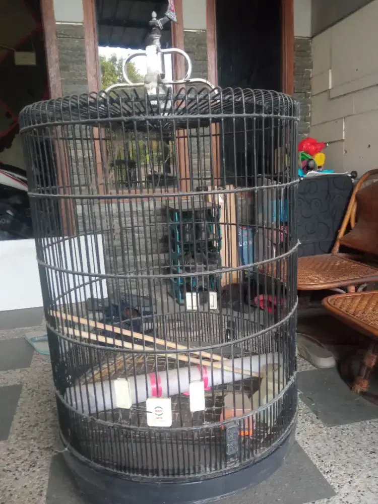 Jual sangkar burung murai baru bekas