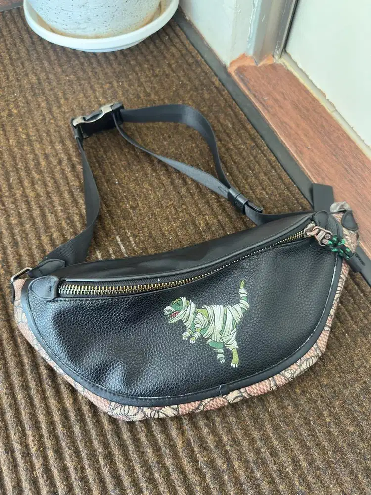 tas slmpang coach x m b jordan