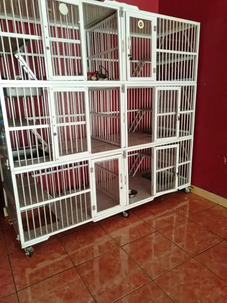 Kandang kucing tingkat