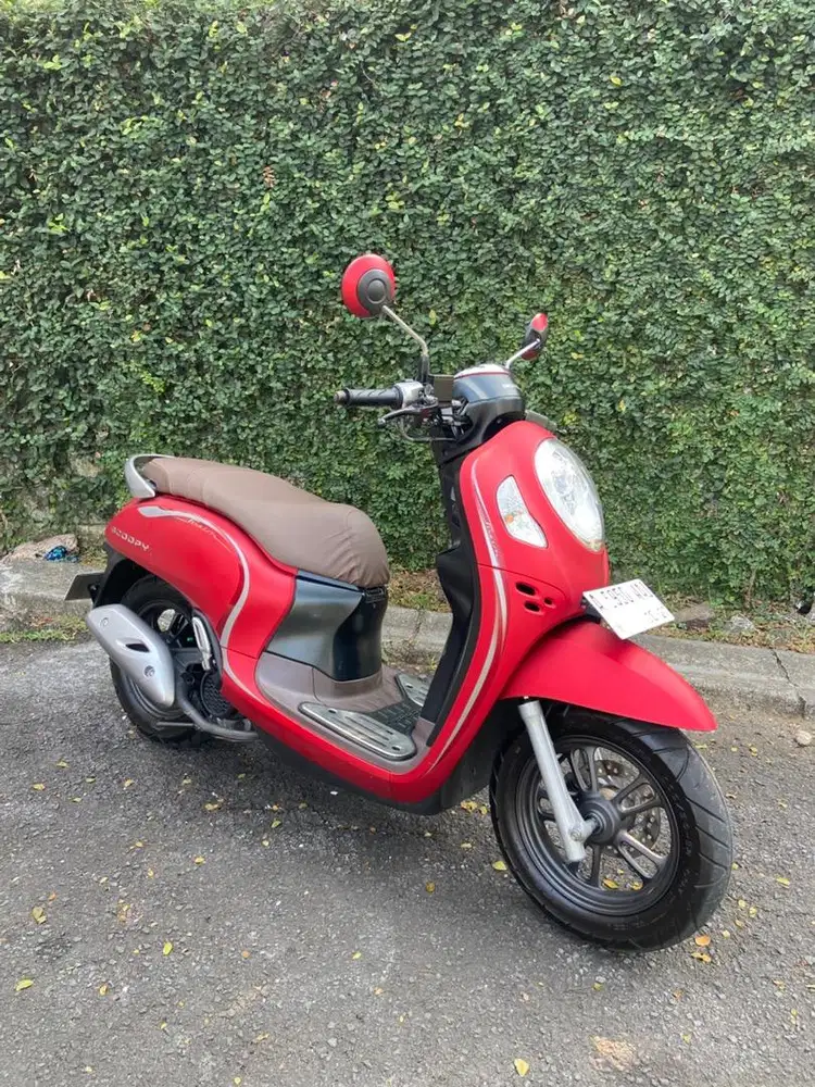 Scoopy stylish 2022