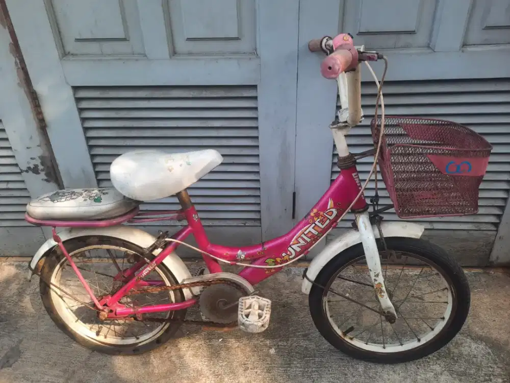 Sepeda anak 16